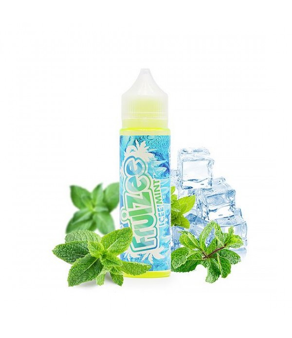 E-liquide Icee Mint 50 mL - Fruizee